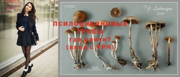 альфа пвп Бородино