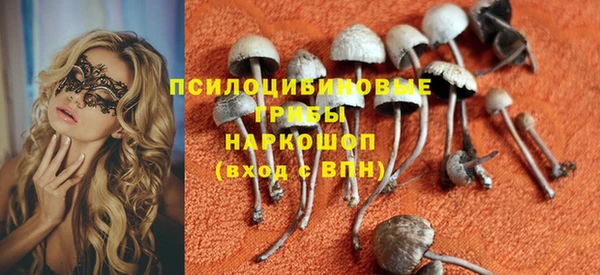 альфа пвп Бородино